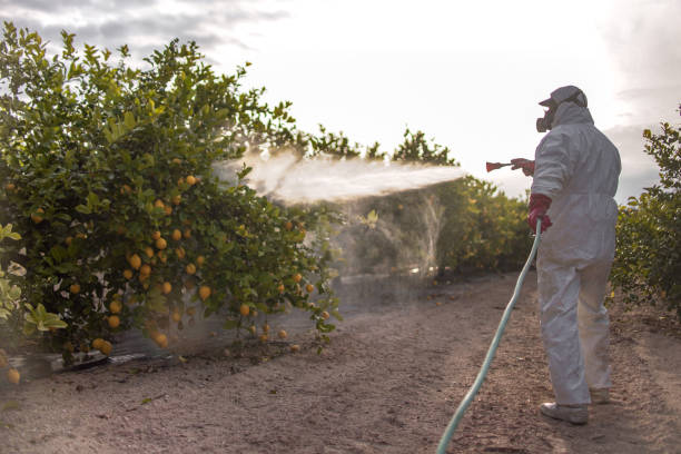 Best Best Pest Control Companies  in Hobe Sound, FL