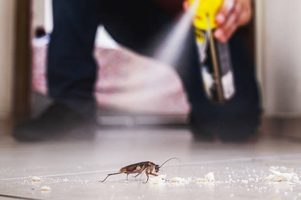 Wildlife Control Services in Hobe Sound, FL