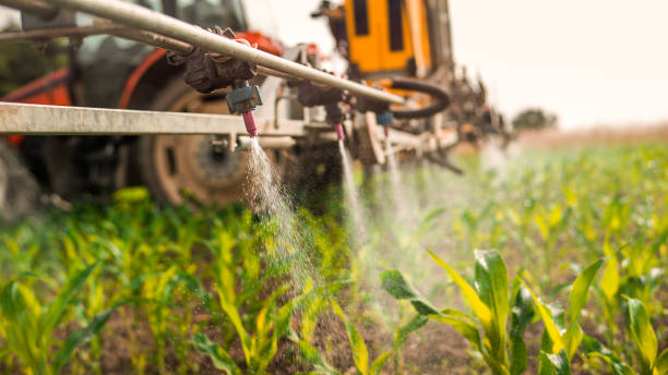 Best Mosquito Control Services  in Hobe Sound, FL